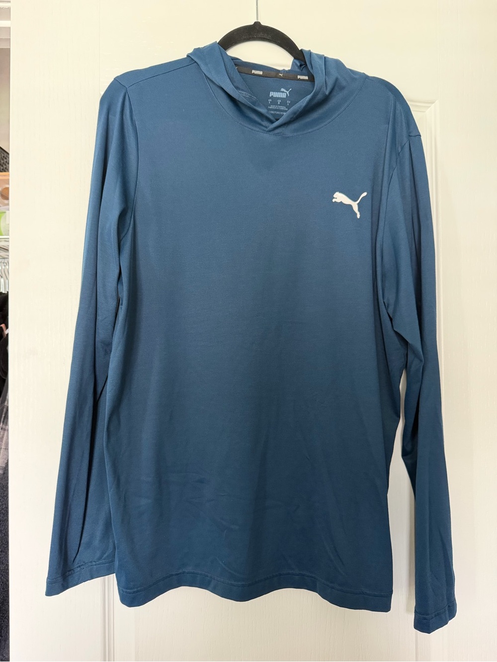 Puma Men's Teal Long-Sleeve Hooded Performance Top